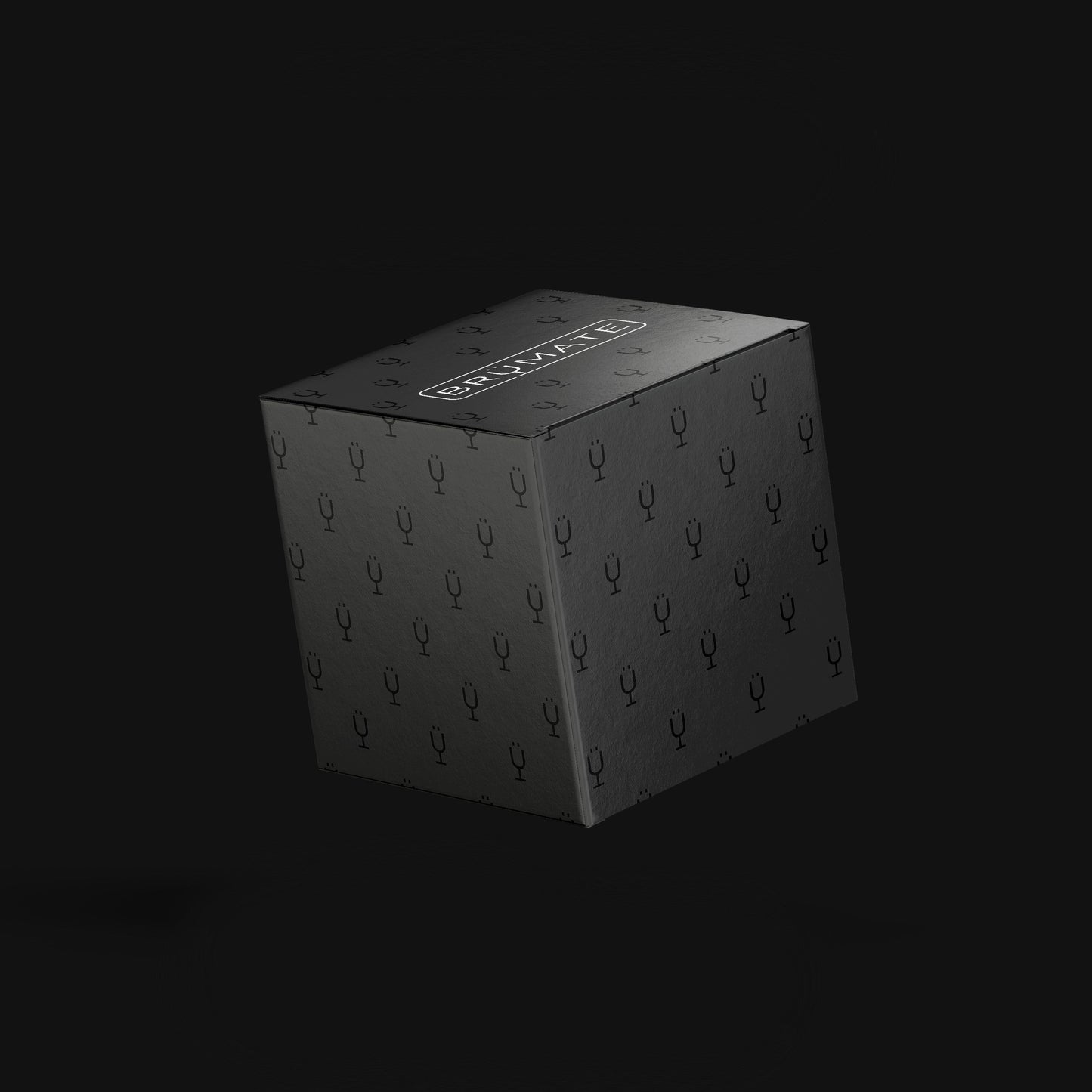 mystery-item-24-49-value-d1 Mystery-Box-FINAL.jpg