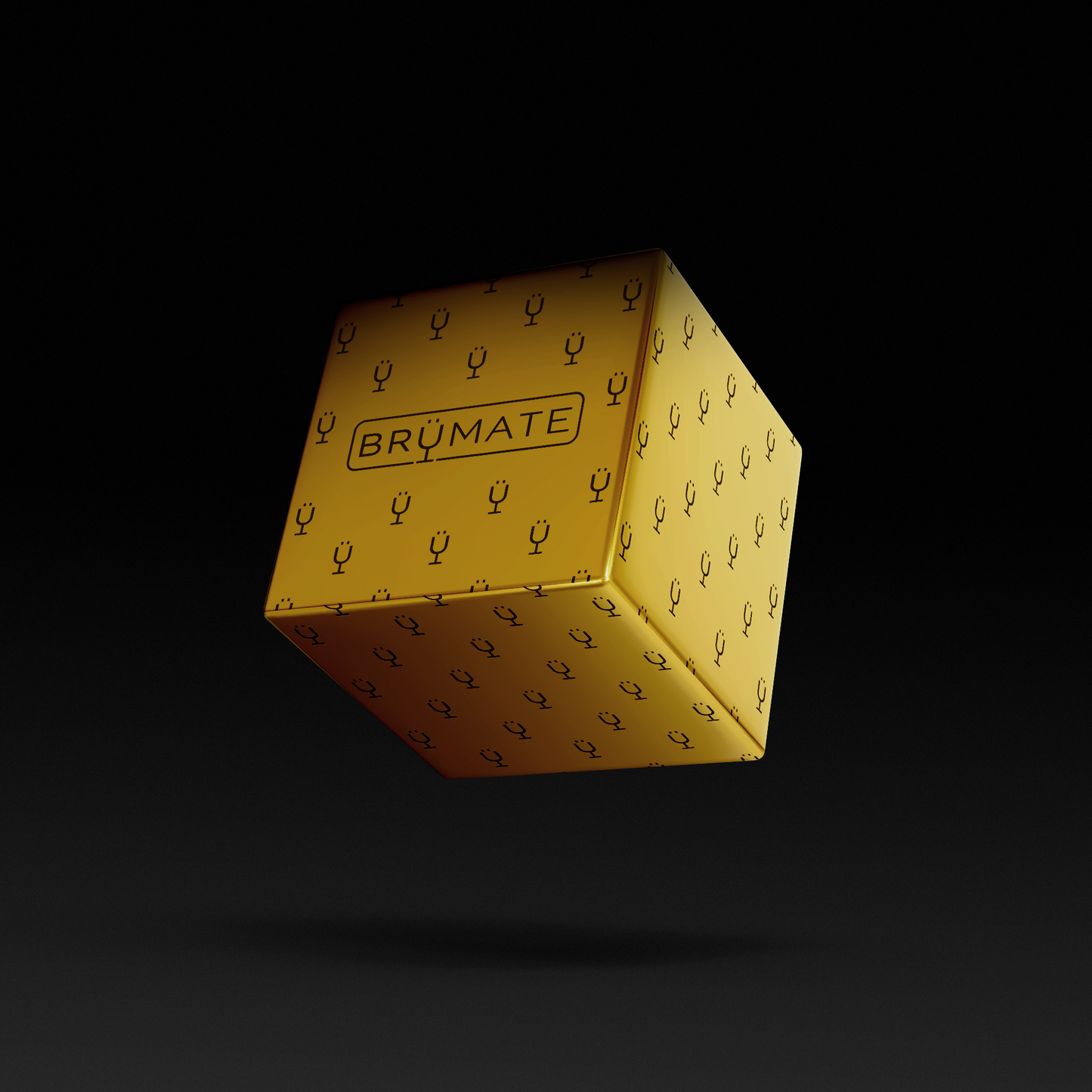 premium-mystery-item-39-70-value-k3 IMG-1548.png